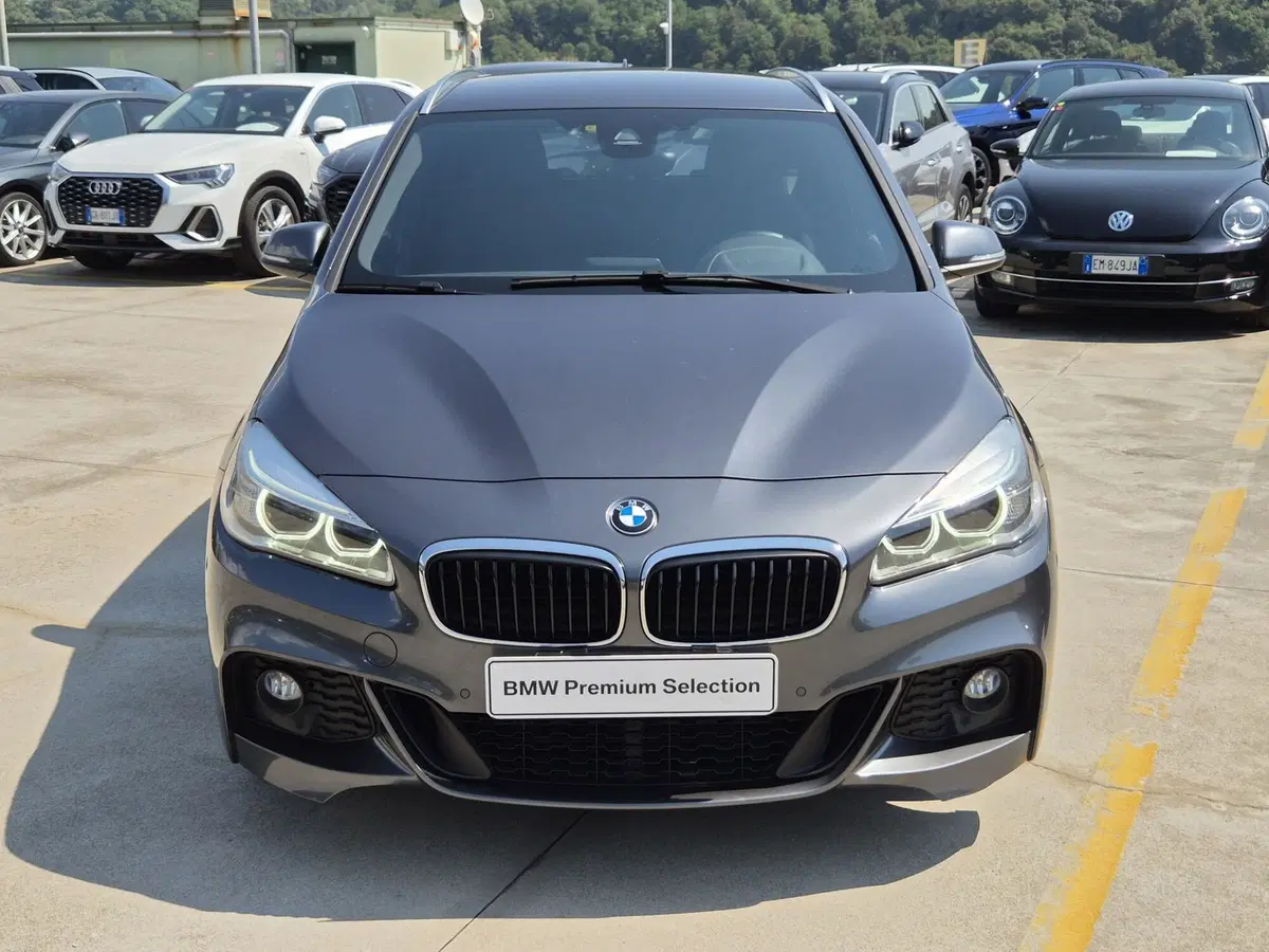 BMW Serie 2 Active Tourer usata  (2)
