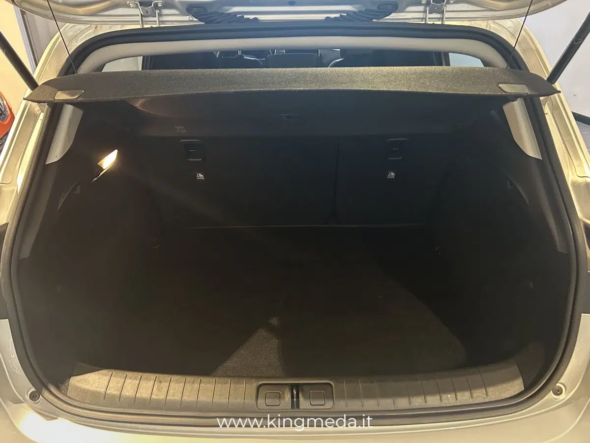 Fiat Tipo Station Wagon usata a Monza e Brianza (6)