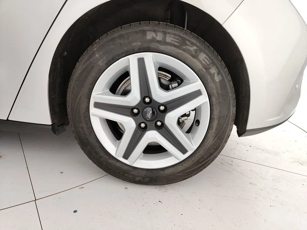Ford Focus usata a Caserta (11)