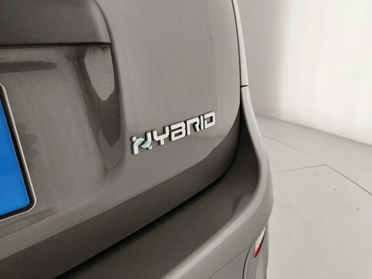 Fiat Panda usata a Caserta (11)