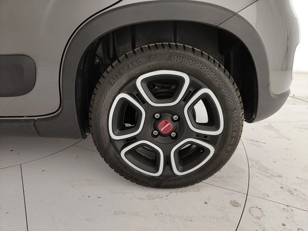 Fiat Panda usata a Caserta (12)