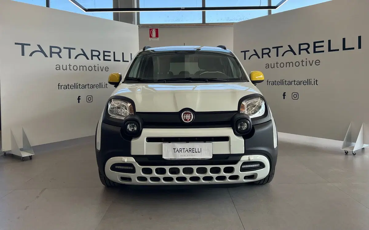Fiat Panda Cross usata a Bari (2)