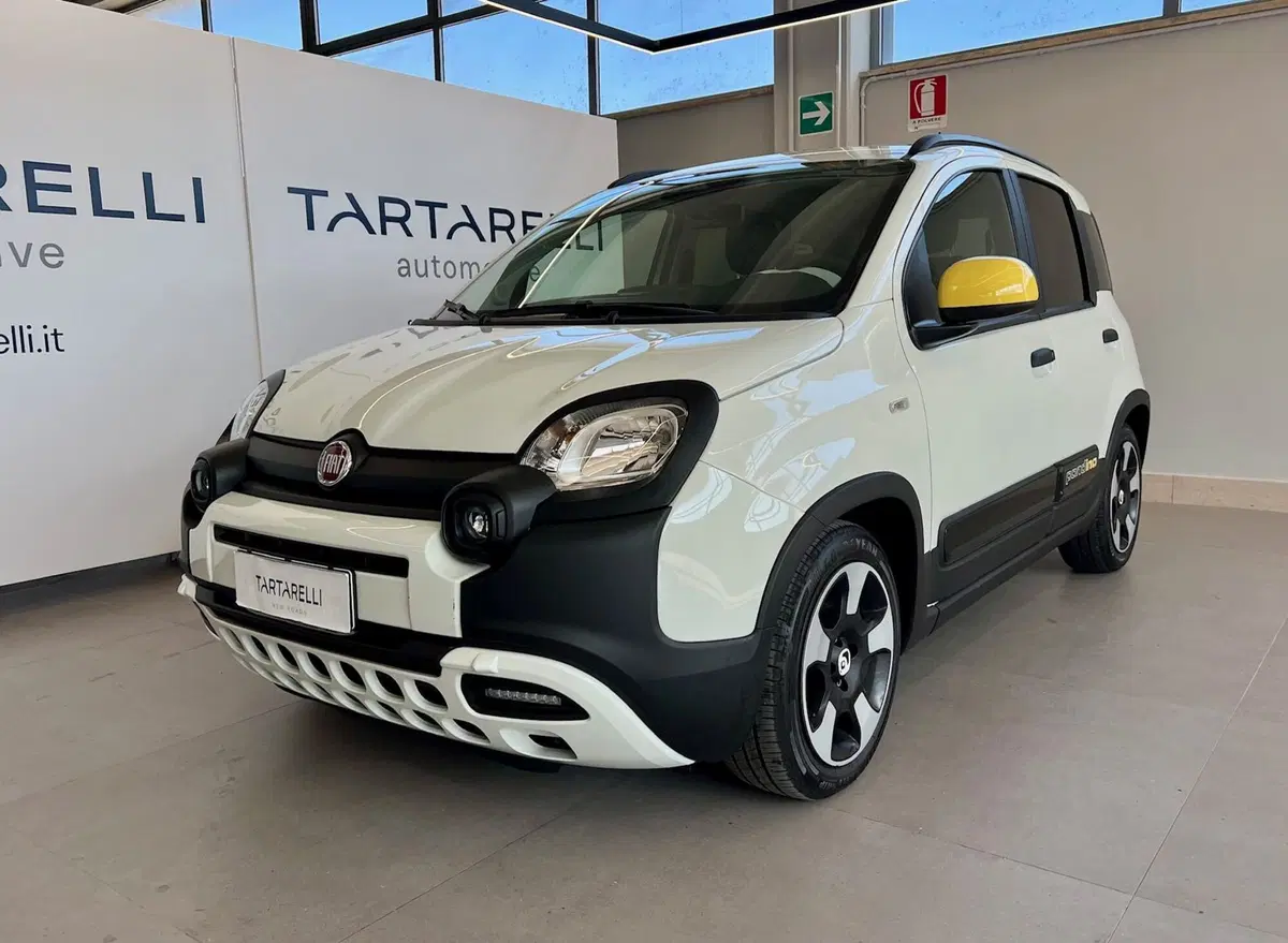 Fiat Panda Cross usata a Bari (3)