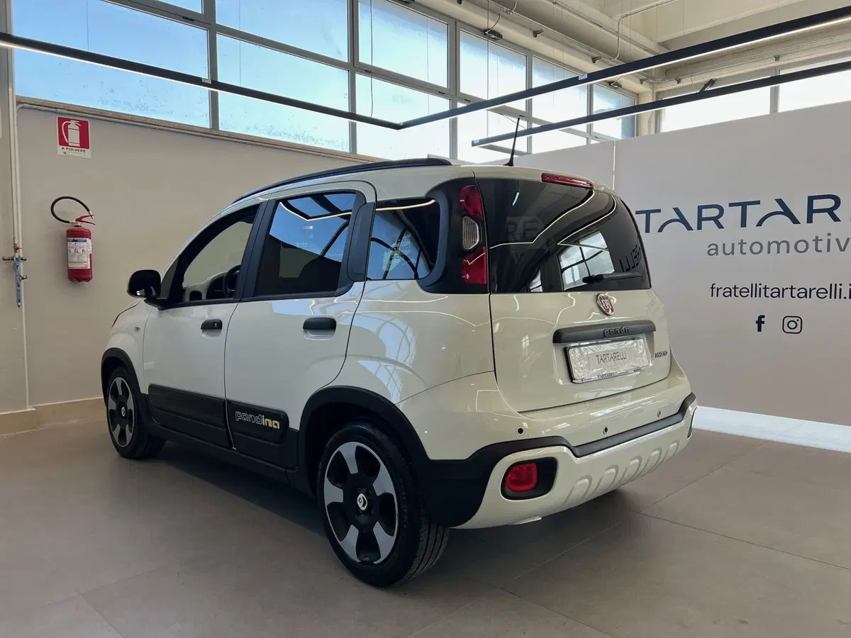 Fiat Panda Cross usata a Bari (5)