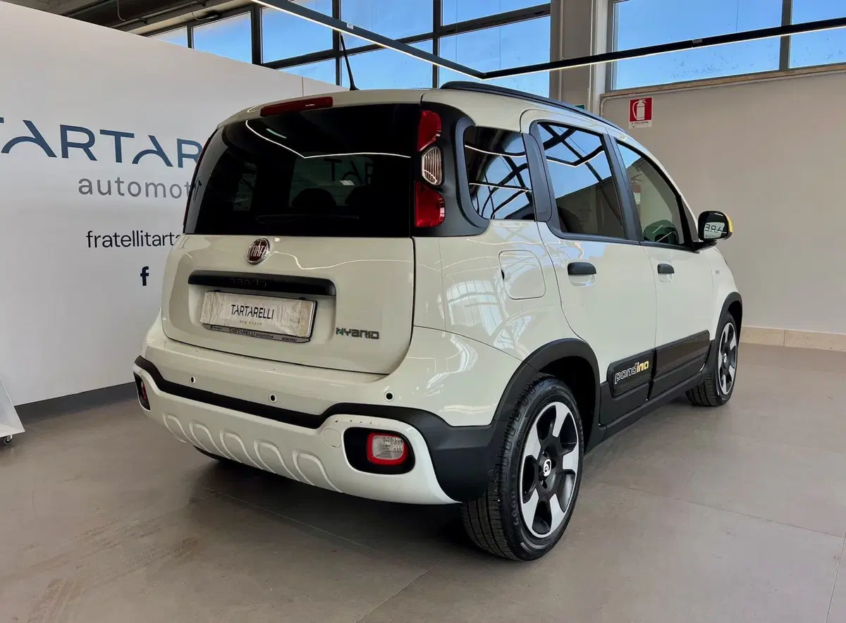 Fiat Panda Cross usata a Bari (6)