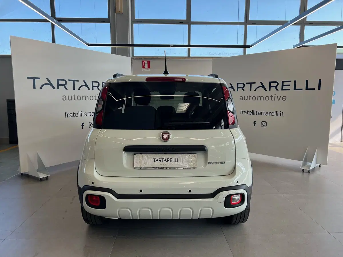 Fiat Panda Cross usata a Bari (7)