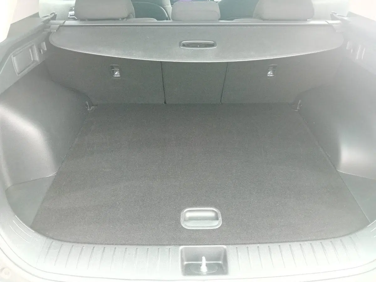 Kia Sportage usata a Pordenone (10)