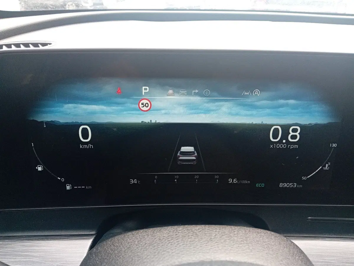 Kia Sportage usata a Pordenone (16)