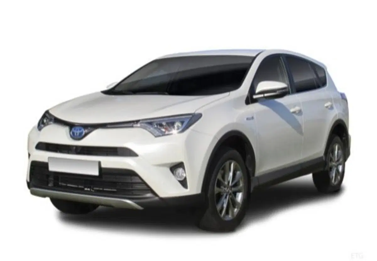 Toyota Rav4 usata a Palermo