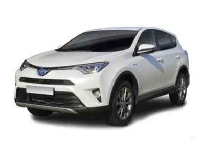 Toyota Rav4 Hybrid 2WD Exclusive del 2018 usata a Palermo
