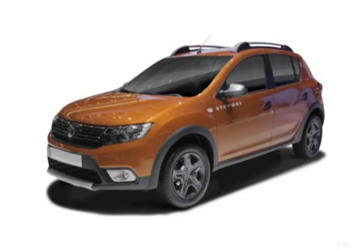 Dacia Sandero usata a Palermo (12)