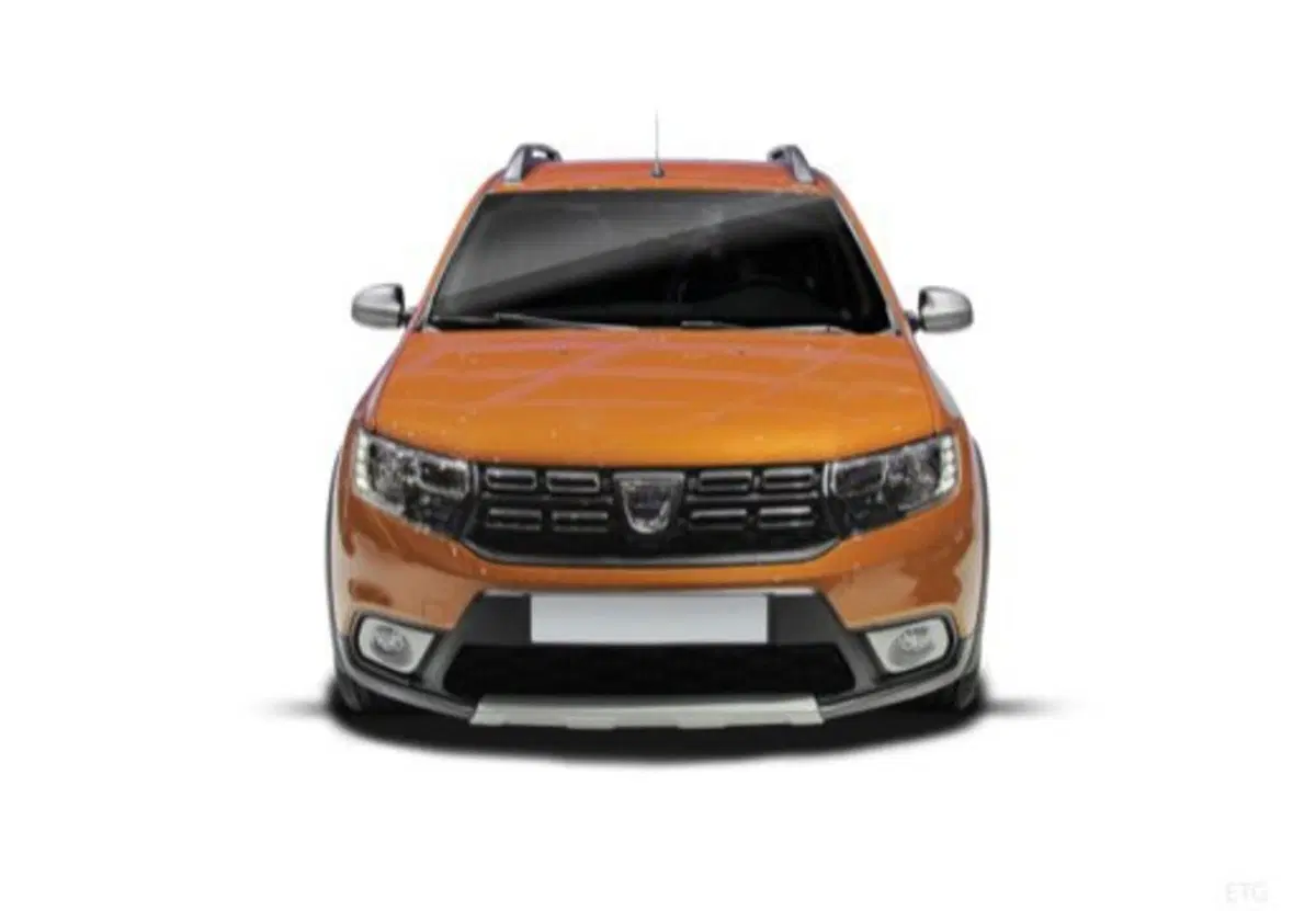 Dacia Sandero usata a Palermo (17)