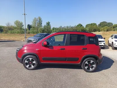 Fiat Panda Cross Cross 1.0 FireFly S&amp;S Hybrid del 2024 usata a Buggiano