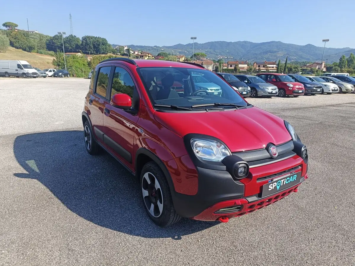 Fiat Panda Cross usata a Pistoia (4)