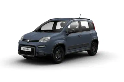 Fiat Panda 0.9 TwinAir Turbo S&amp;S 4x4 Wild del 2022 usata a Fisciano