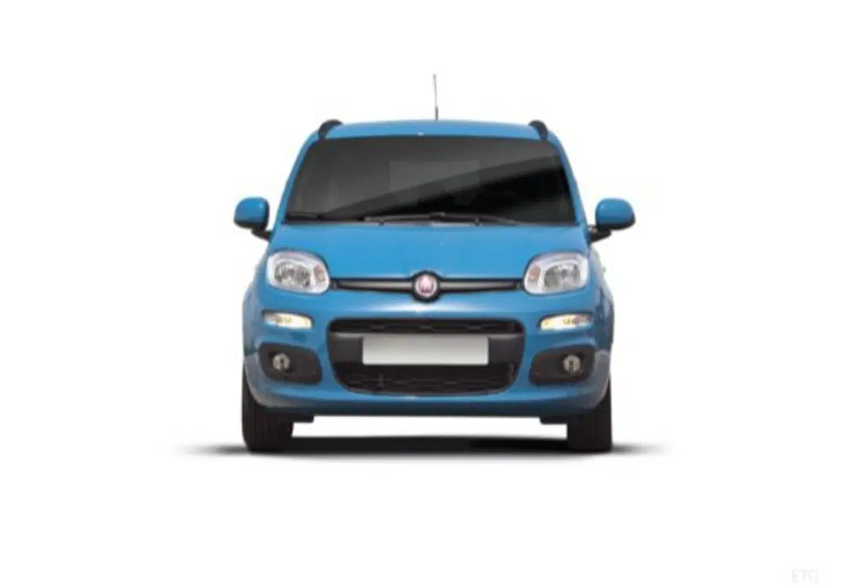 Fiat Panda usata a Salerno (11)