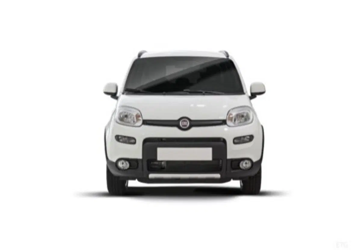 Fiat Panda usata a Salerno (12)