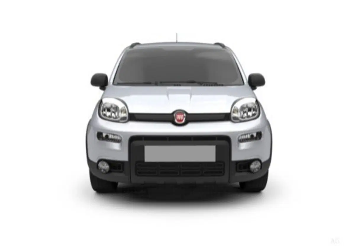 Fiat Panda usata a Salerno (13)