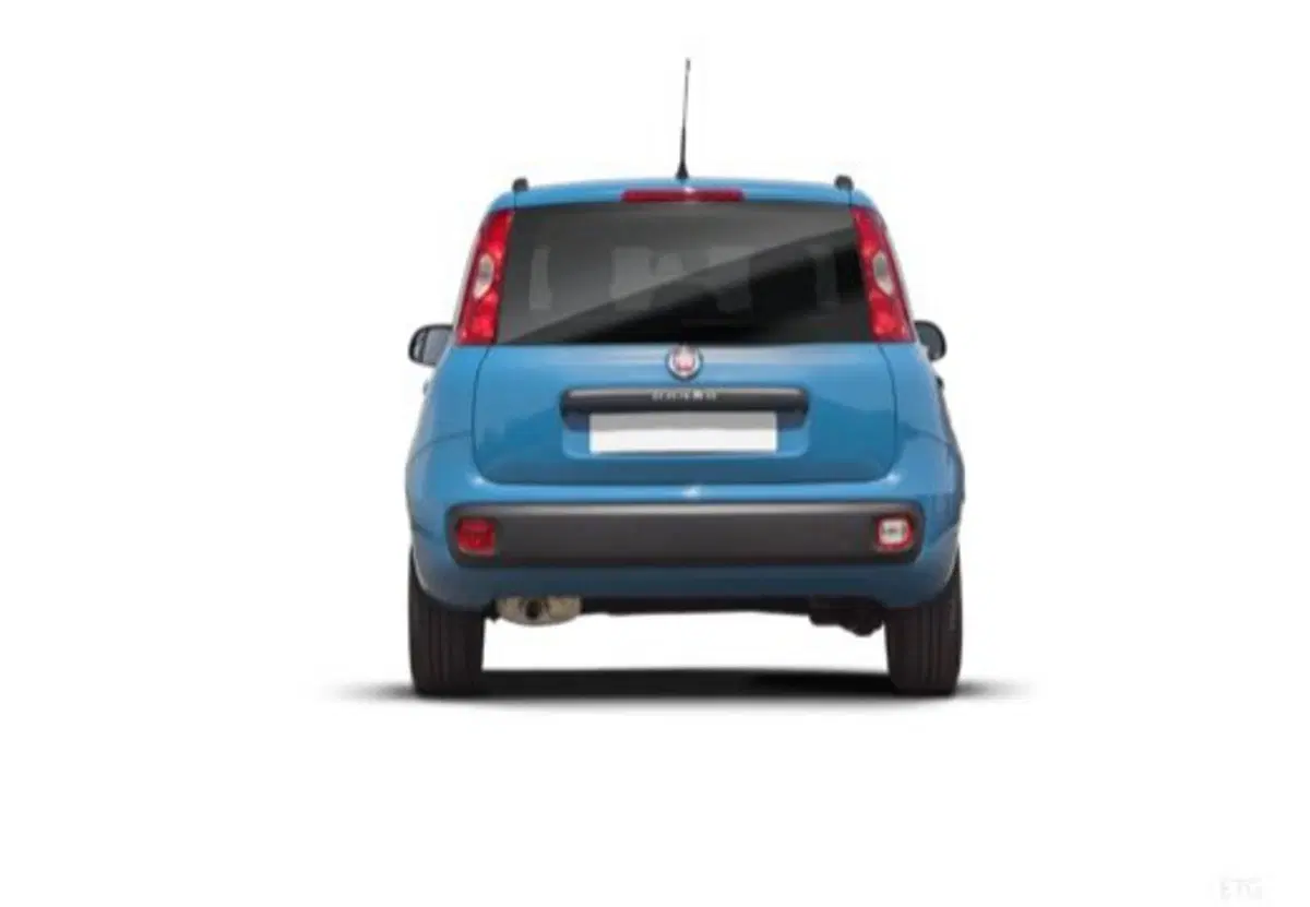 Fiat Panda usata a Salerno (14)