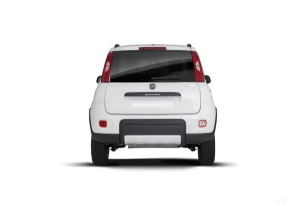 Fiat Panda usata a Salerno (15)