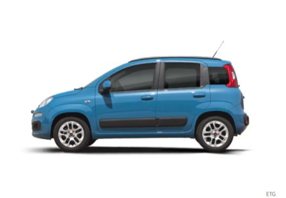 Fiat Panda usata a Salerno (17)
