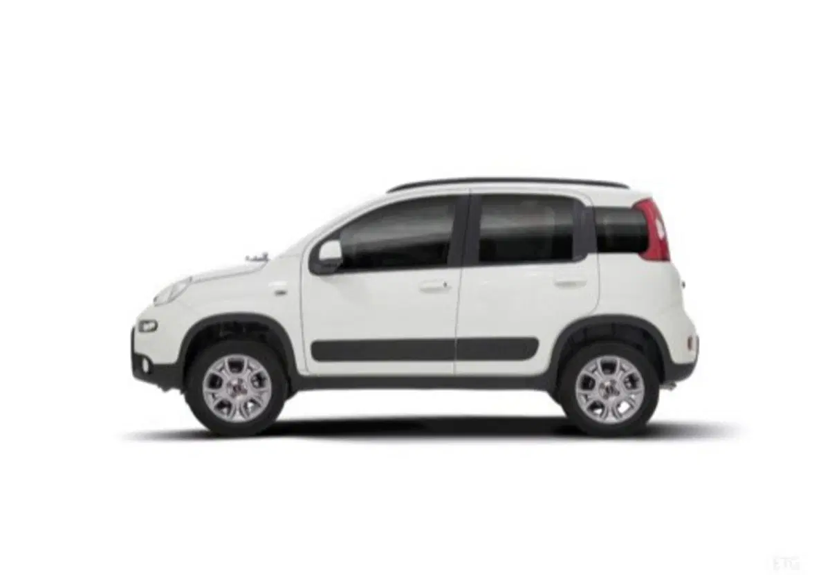 Fiat Panda usata a Salerno (18)