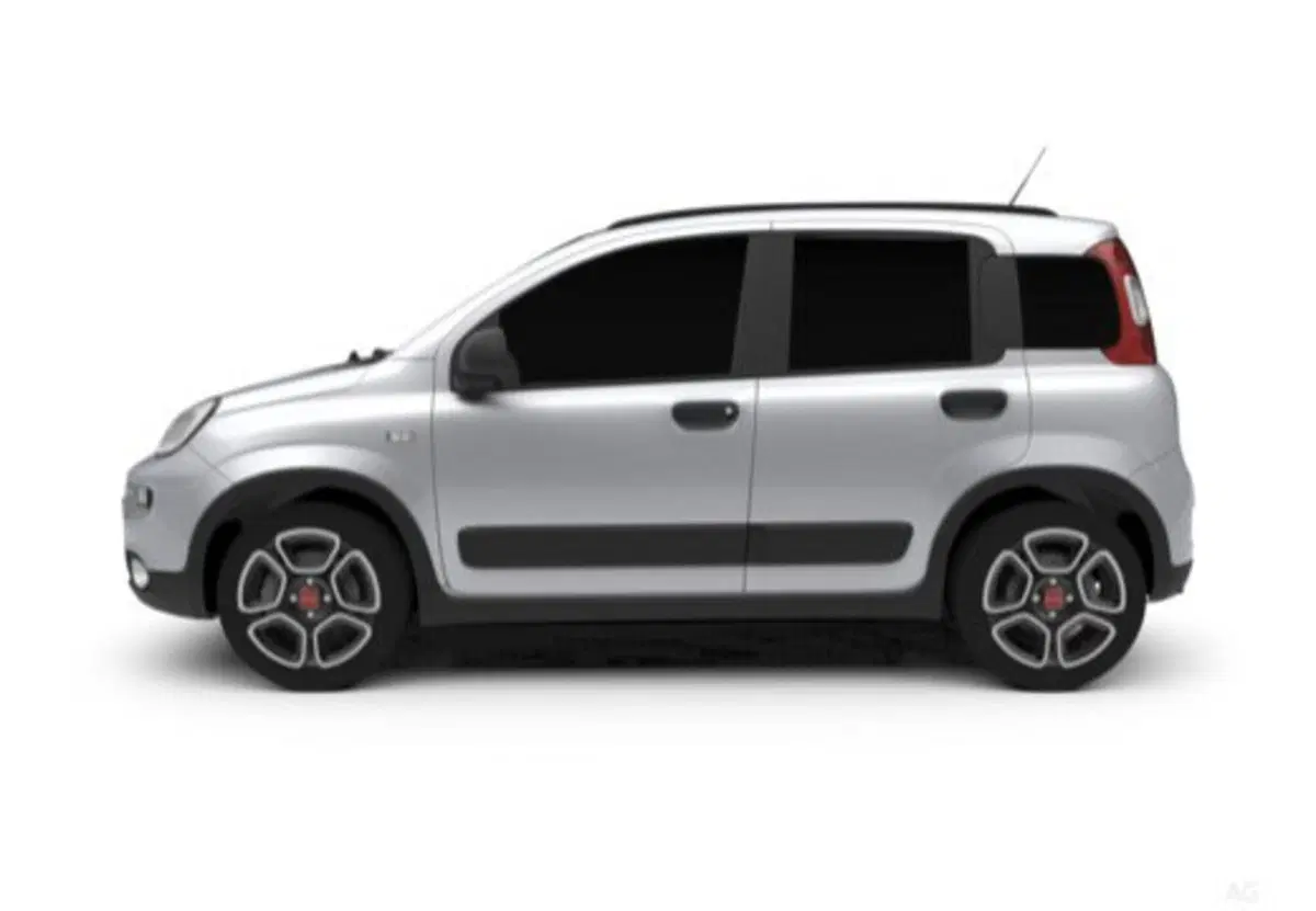 Fiat Panda usata a Salerno (19)