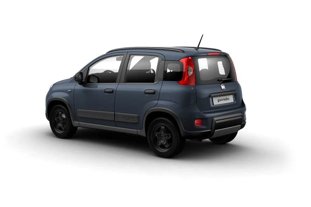 Fiat Panda usata a Salerno (2)