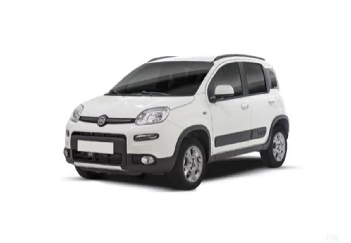 Fiat Panda usata a Salerno (6)