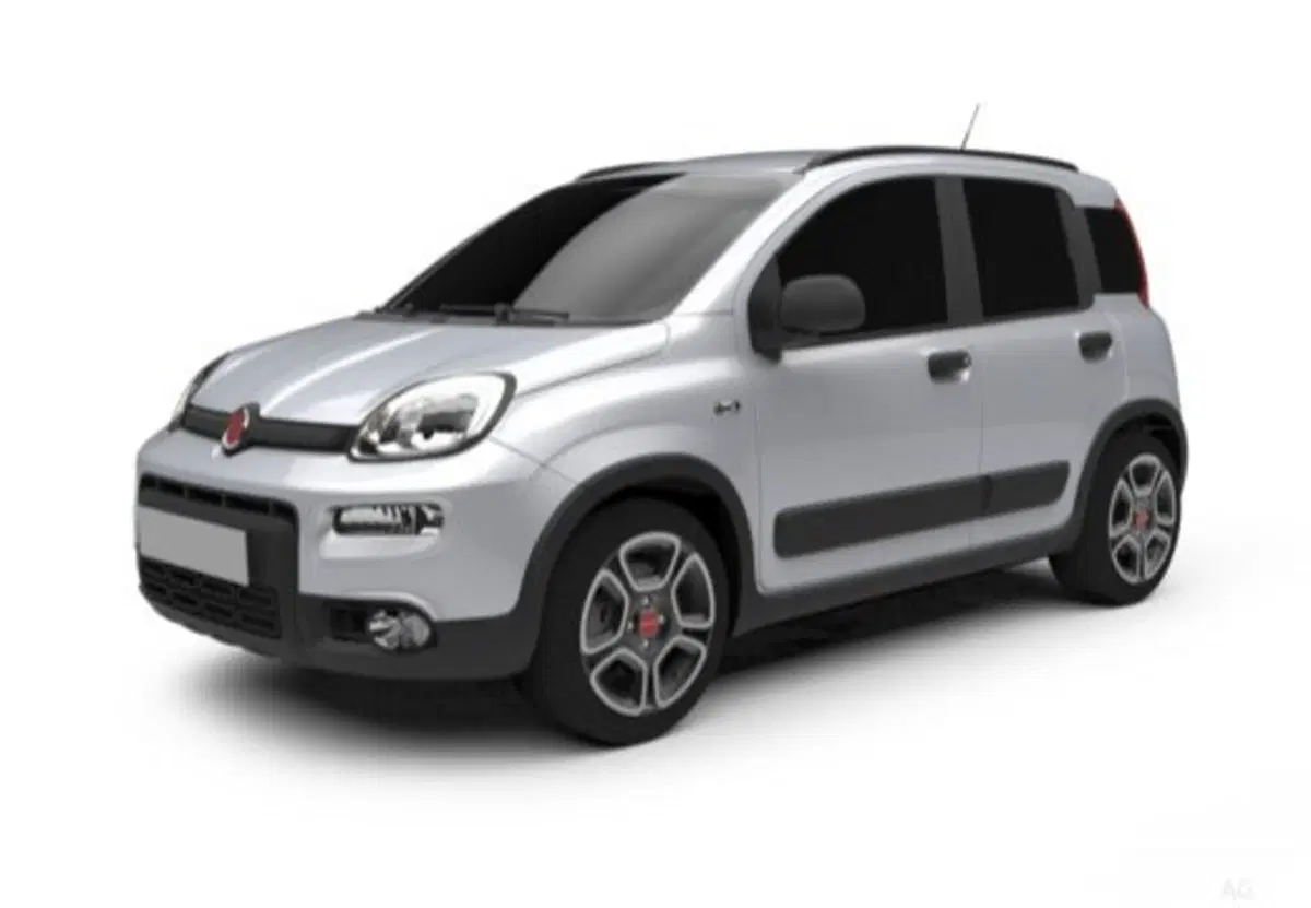 Fiat Panda usata a Salerno (7)