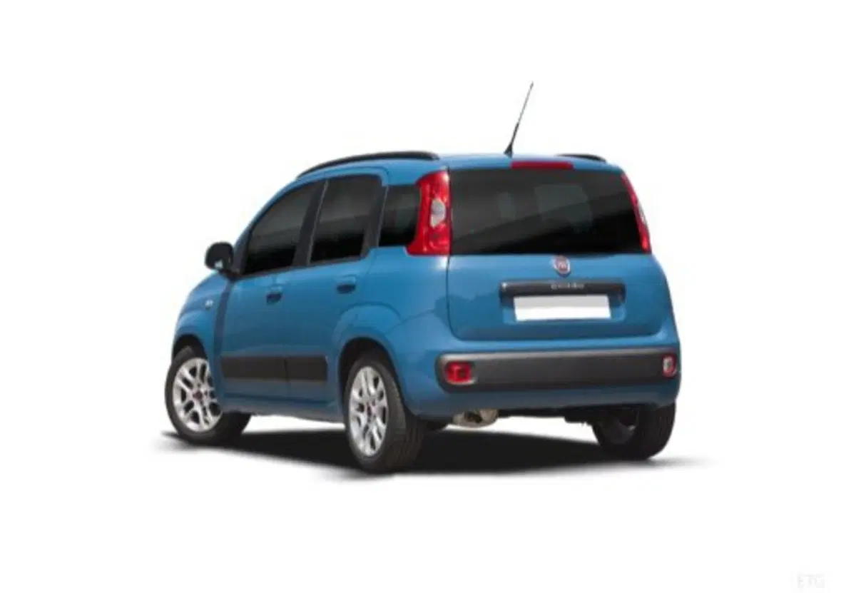 Fiat Panda usata a Salerno (8)