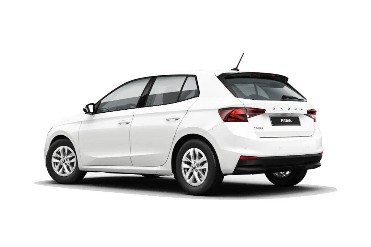 Skoda Fabia usata a Salerno (2)