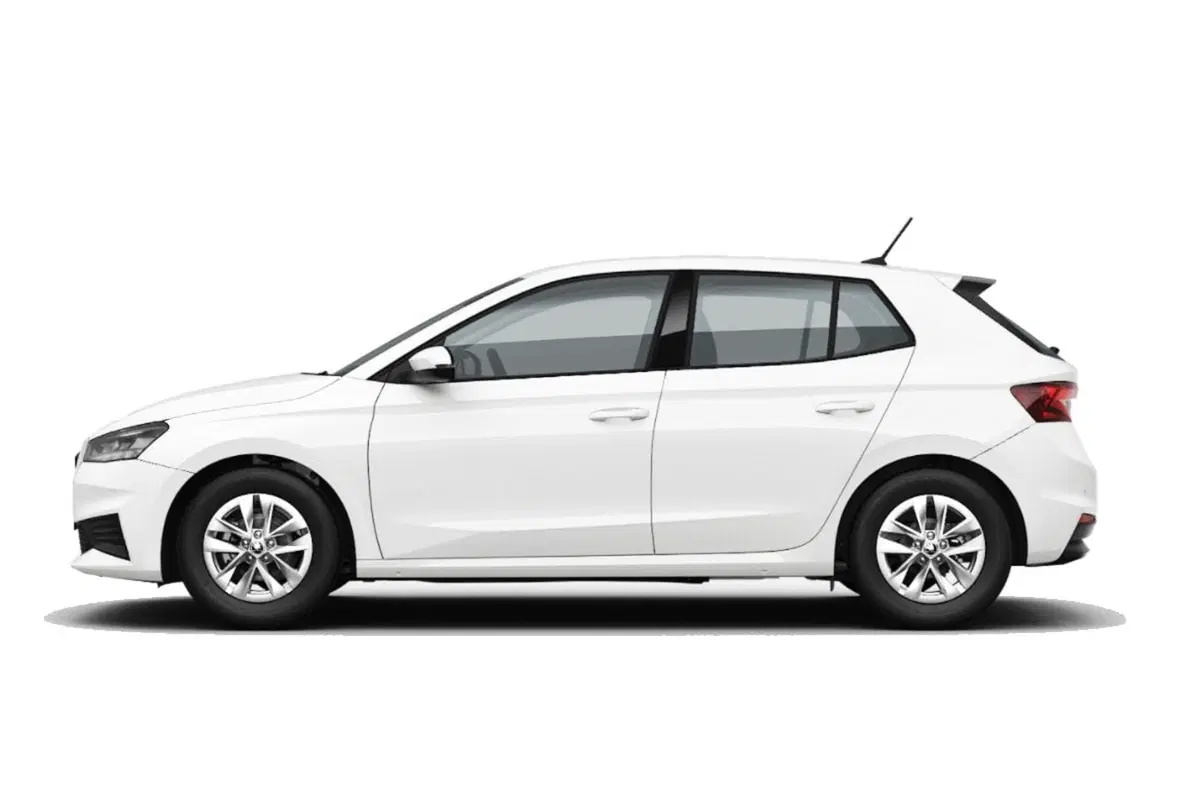 Skoda Fabia usata a Salerno (3)