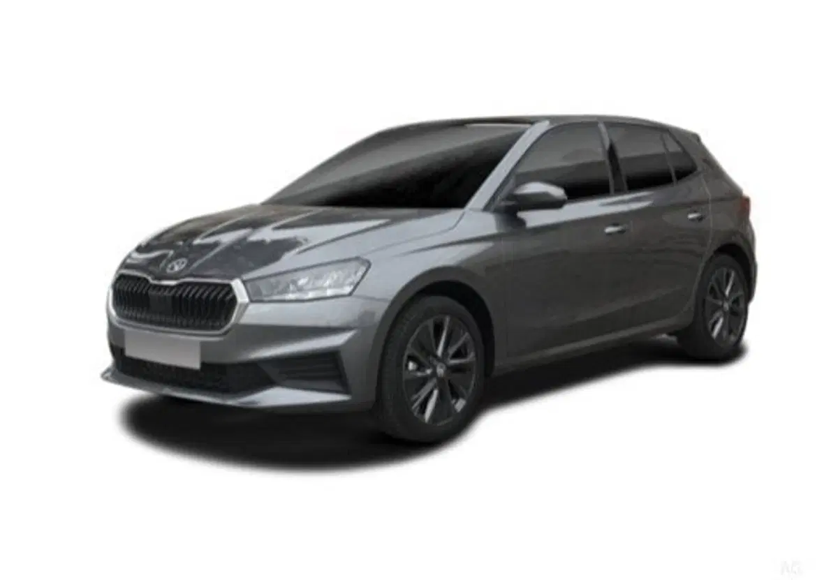 Skoda Fabia usata a Salerno (4)