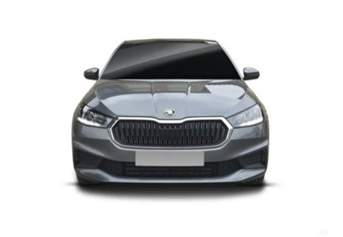 Skoda Fabia usata a Salerno (6)