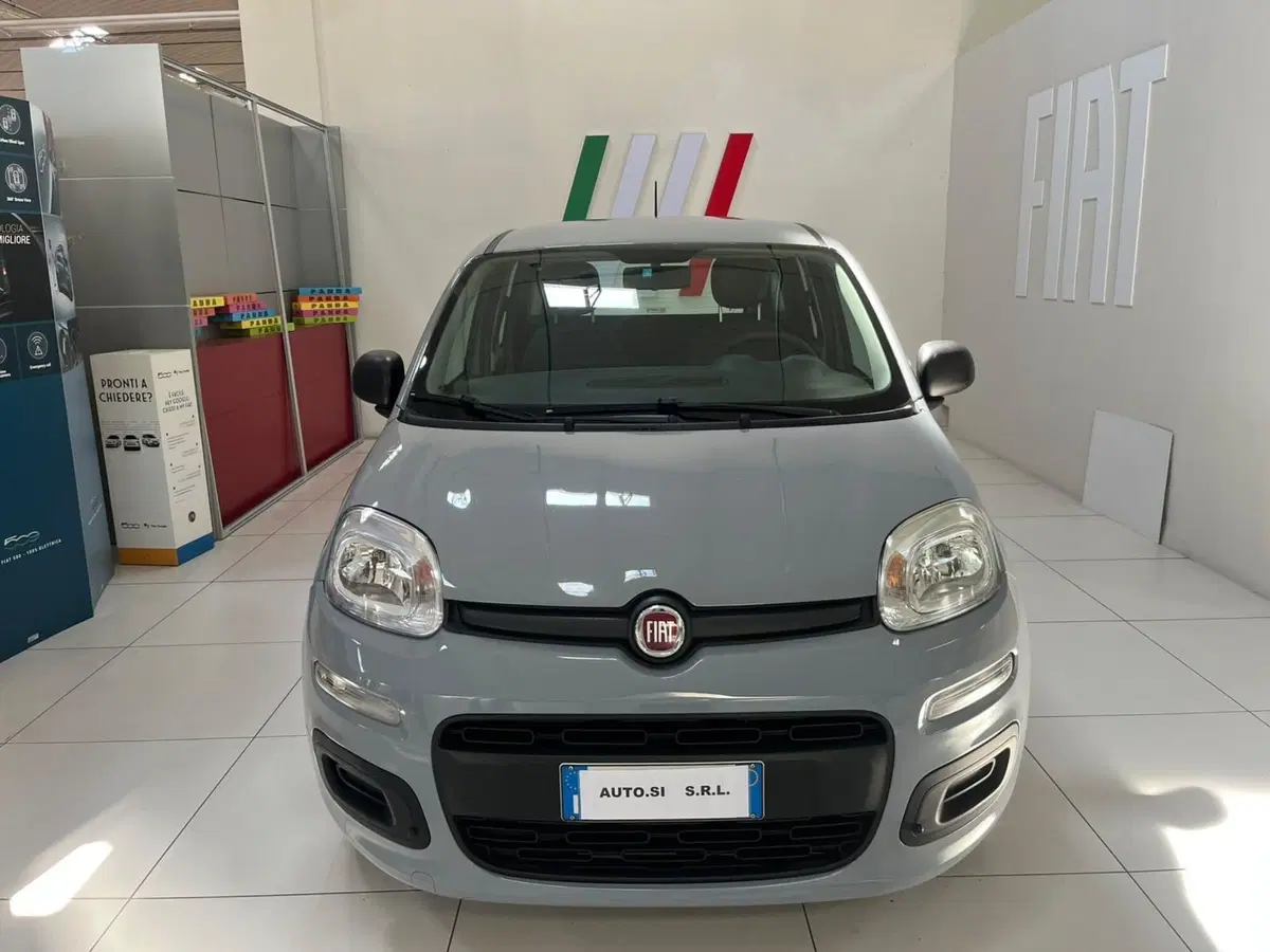 Fiat Panda usata a Lucca (2)