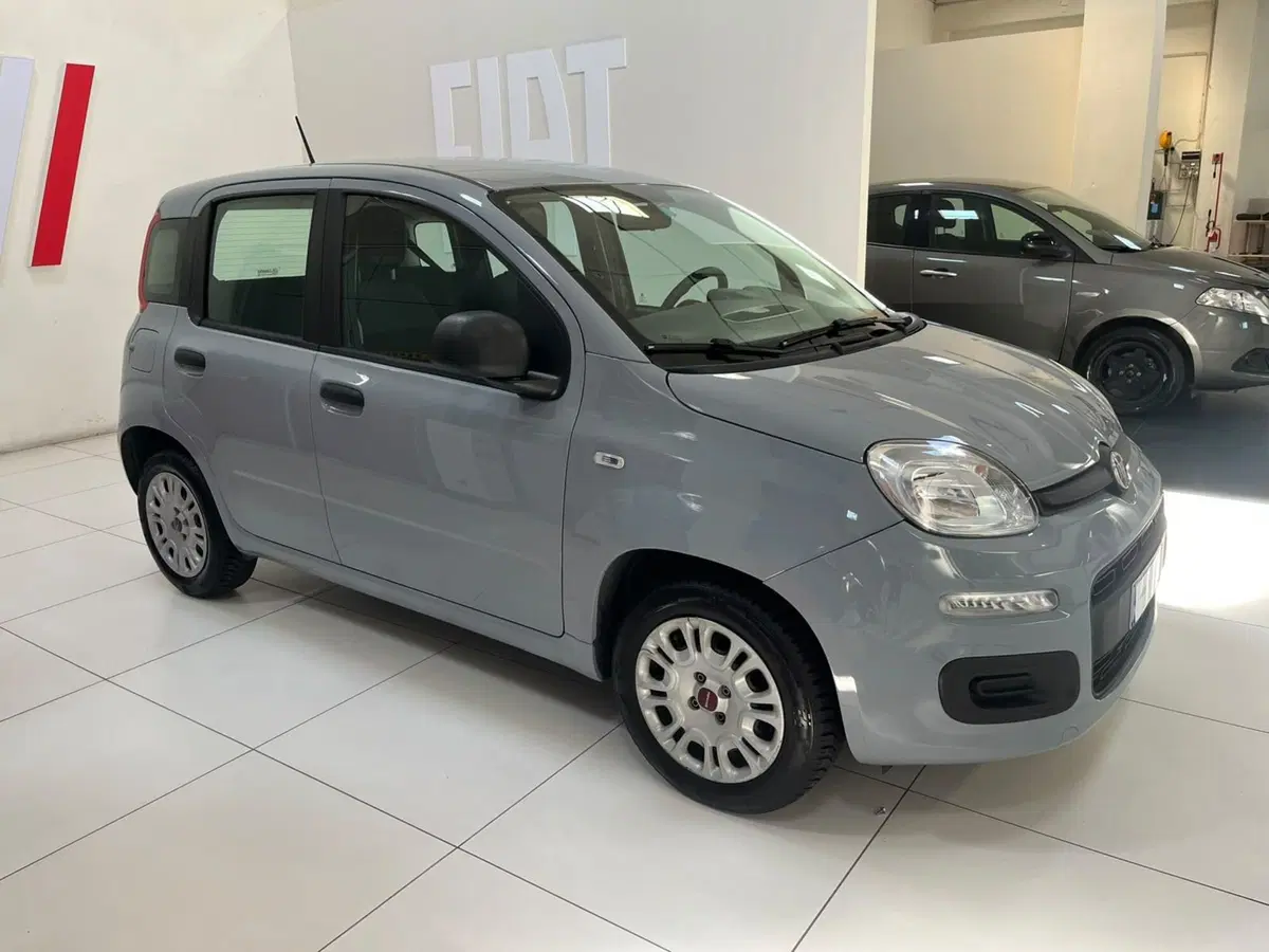 Fiat Panda usata a Lucca (4)