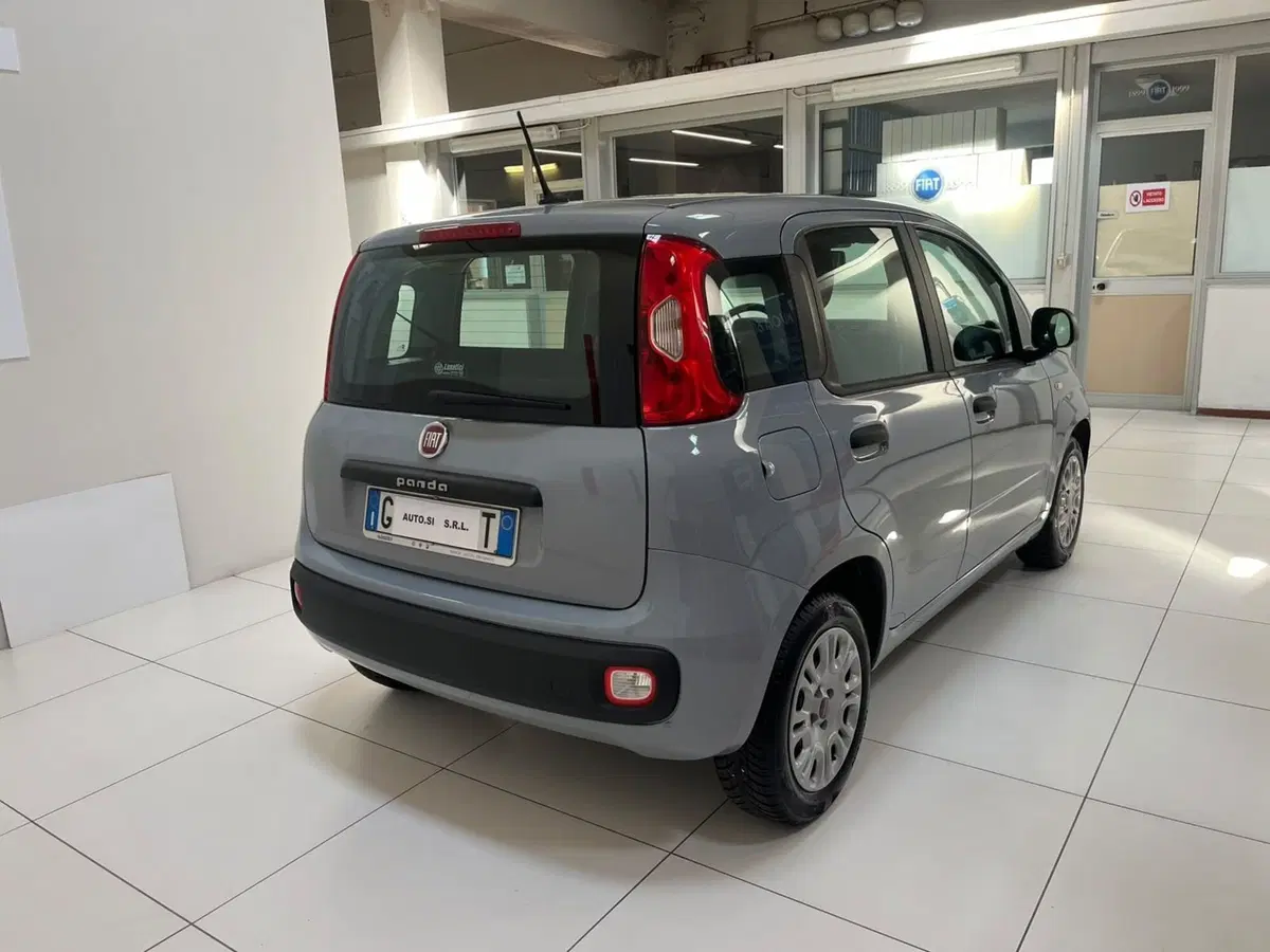 Fiat Panda usata a Lucca (5)