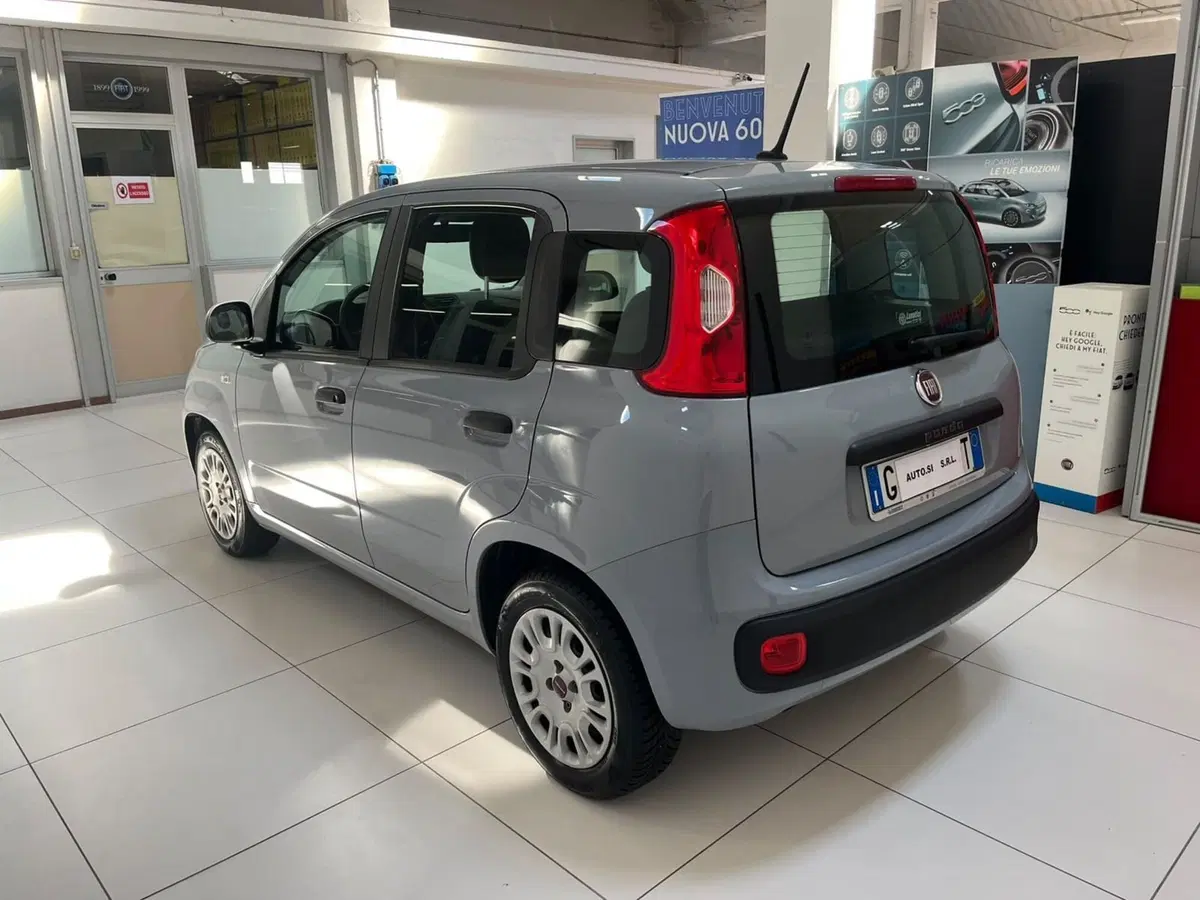 Fiat Panda usata a Lucca (7)