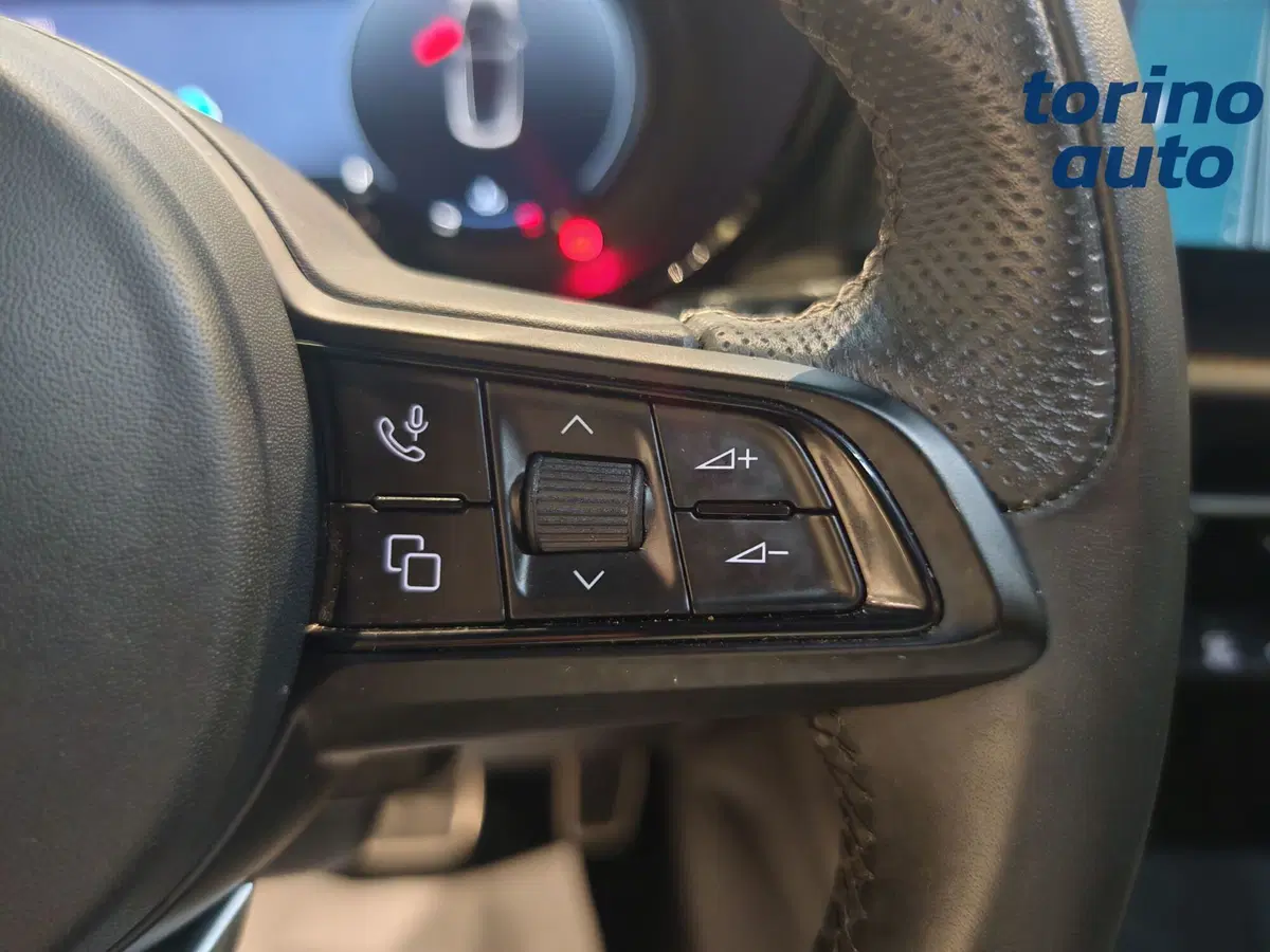 Alfa Romeo Tonale usata a Torino (13)