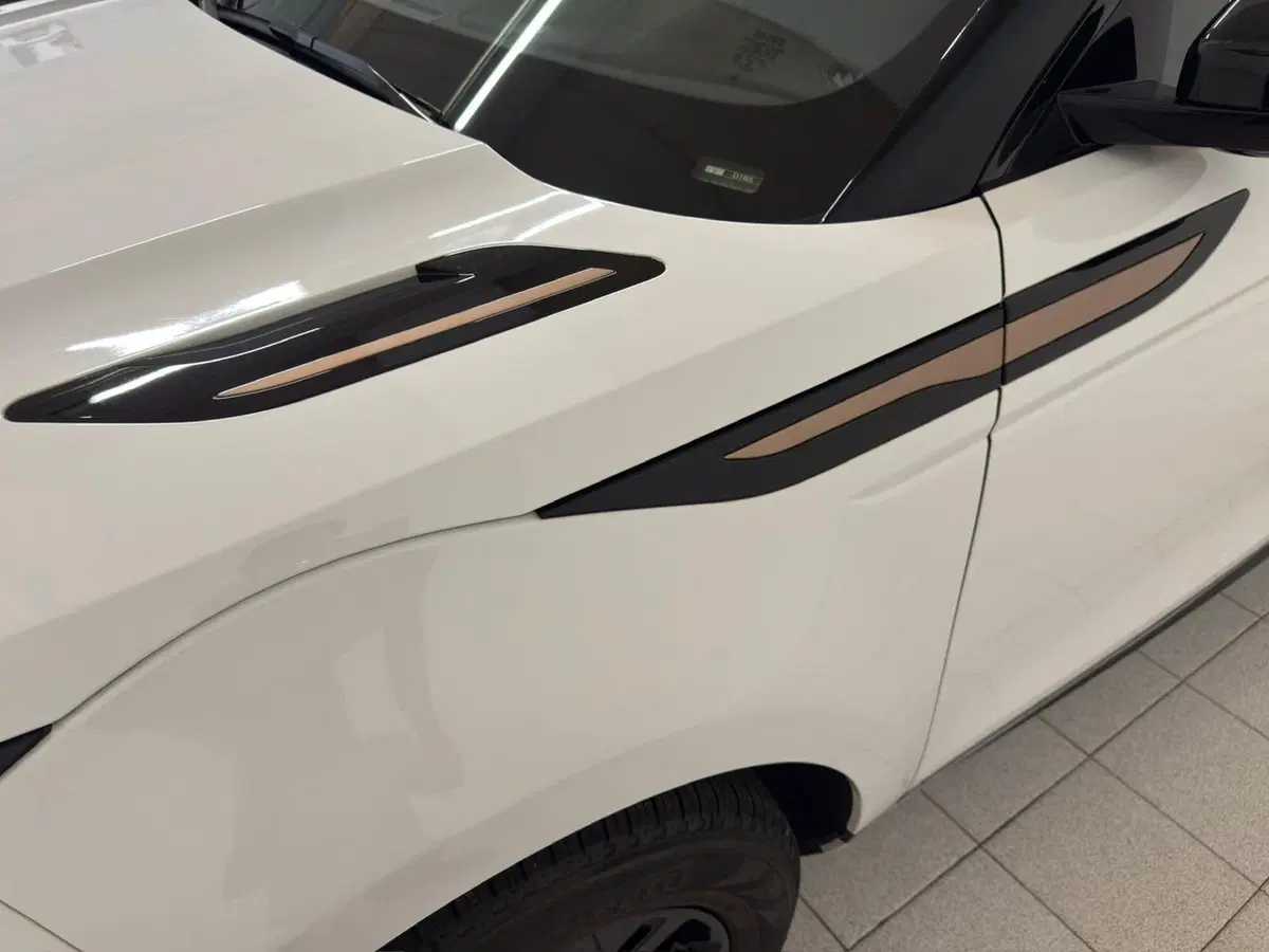 Land Rover Range Rover Evoque usata a Novara (15)