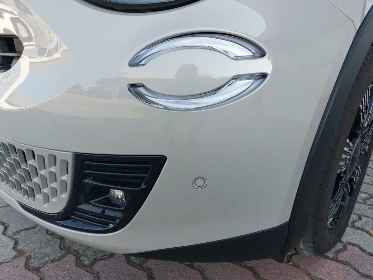Fiat 600 usata a Pavia (13)