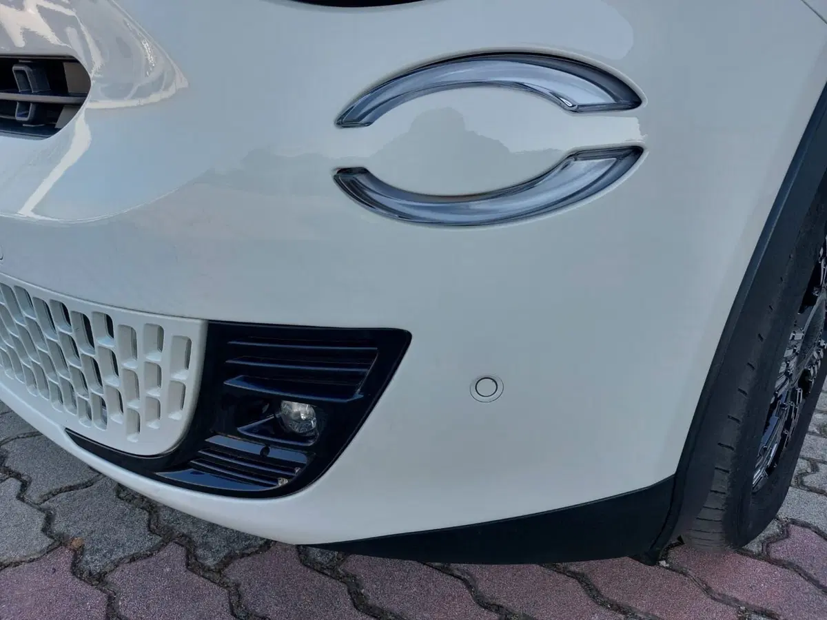 Fiat 600 usata a Pavia (13)