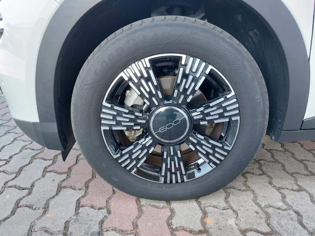 Fiat 600 usata a Pavia (14)