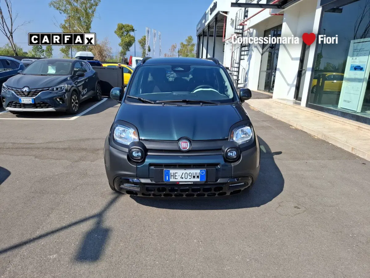 Fiat Pandina nuova a Latina (6)