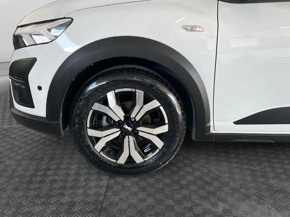 Dacia Sandero usata a Roma (9)
