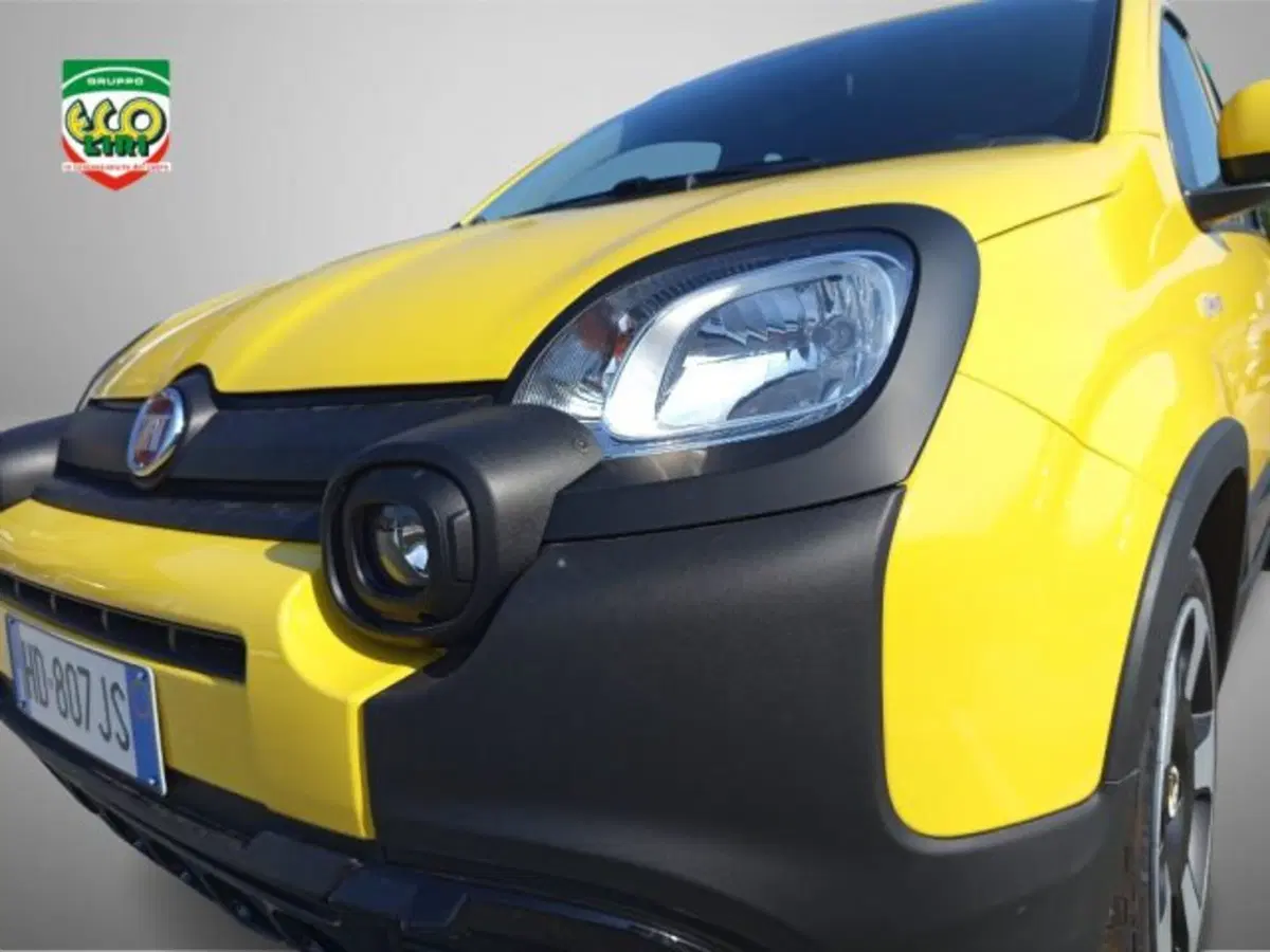 Fiat Pandina nuova a Frosinone (16)