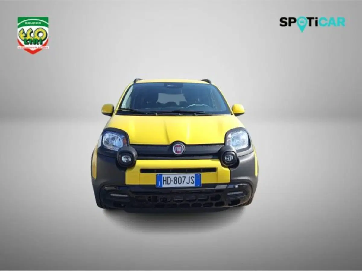 Fiat Pandina nuova a Frosinone (19)