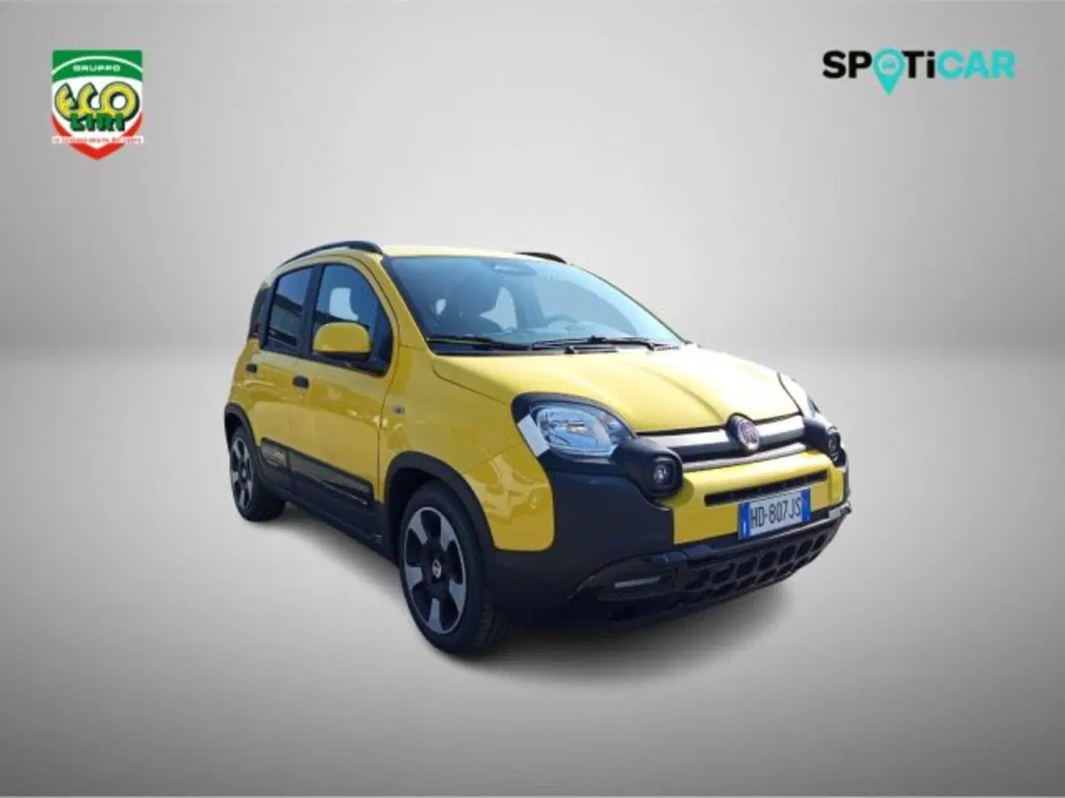 Fiat Pandina nuova a Frosinone (3)