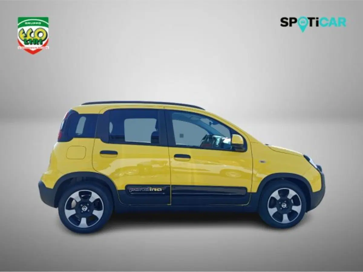 Fiat Pandina nuova a Frosinone (4)